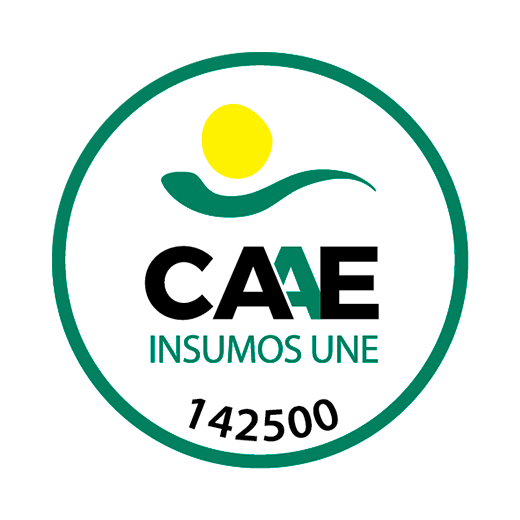 CAAE 142500